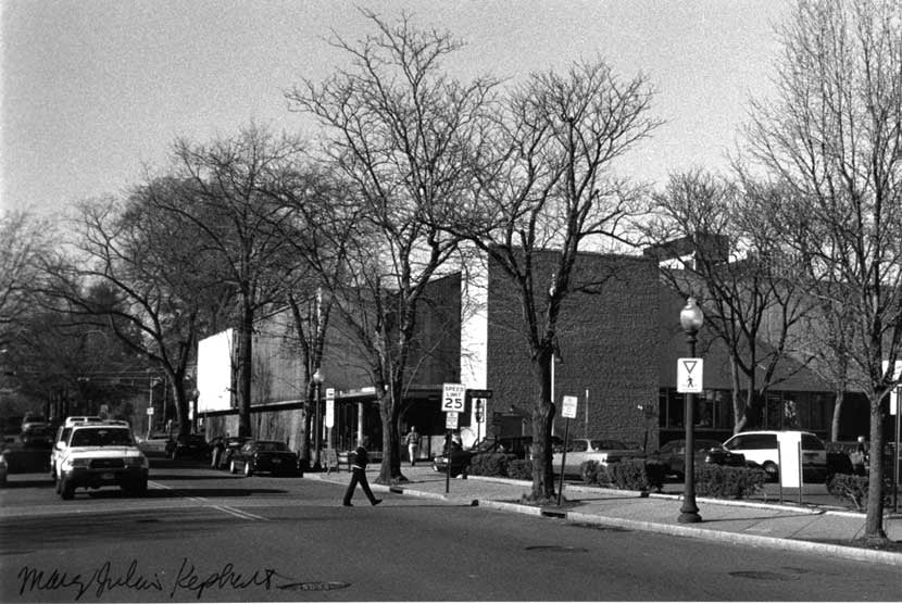 Old Princeton Public Library