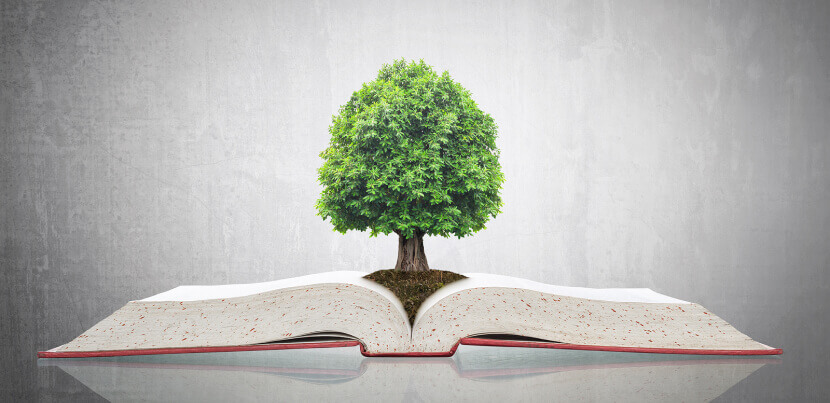 sustainability-library-book-concept