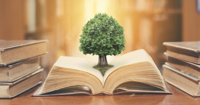 tree-coming-from-library-book