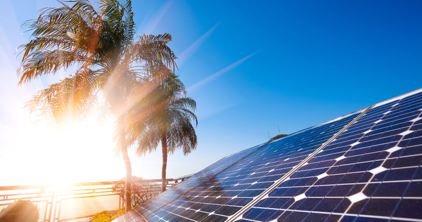 tropical-solar-energy-panels