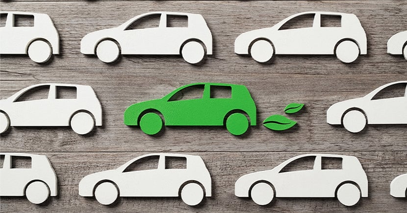 vehicle fleet with eco-friendly and electric vehicles