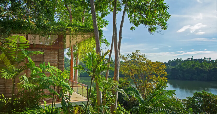 Hotel-in-a-lush-sustainable-setting